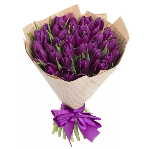 Букет із 35 фіолетових тюльпанів