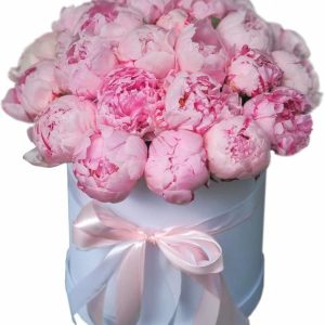 Композиція із 25 рожевих півоній