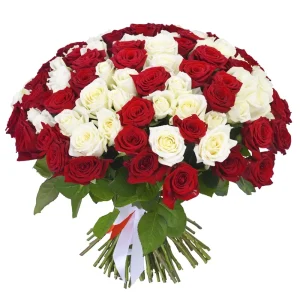 Букет із 101 червоної та білої троянди