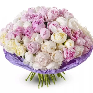 Великий букет із 101 півонії