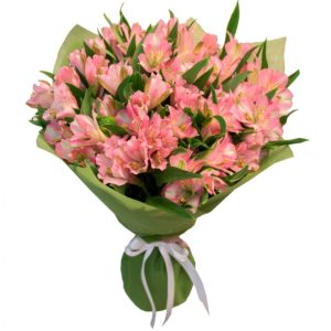 Букет із 15 рожевих альстромерій