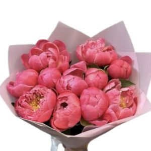 Букет із 11 коралових півоній Coral Sharm