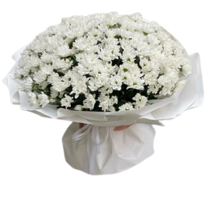 Букет із 25 білих хризантем