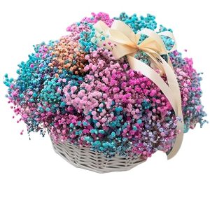 Кошик із 25 різнокольорової гіпсофіли