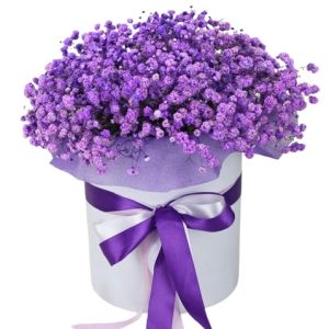 Композиція у коробці з 11 гілок гіпсофіли "Лавіна"