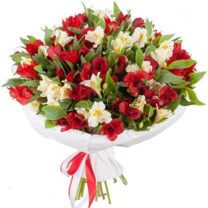 Букет із 25 червоних та білих альстромерії