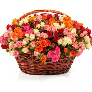 Кошик із 101 кущовою трояндою
