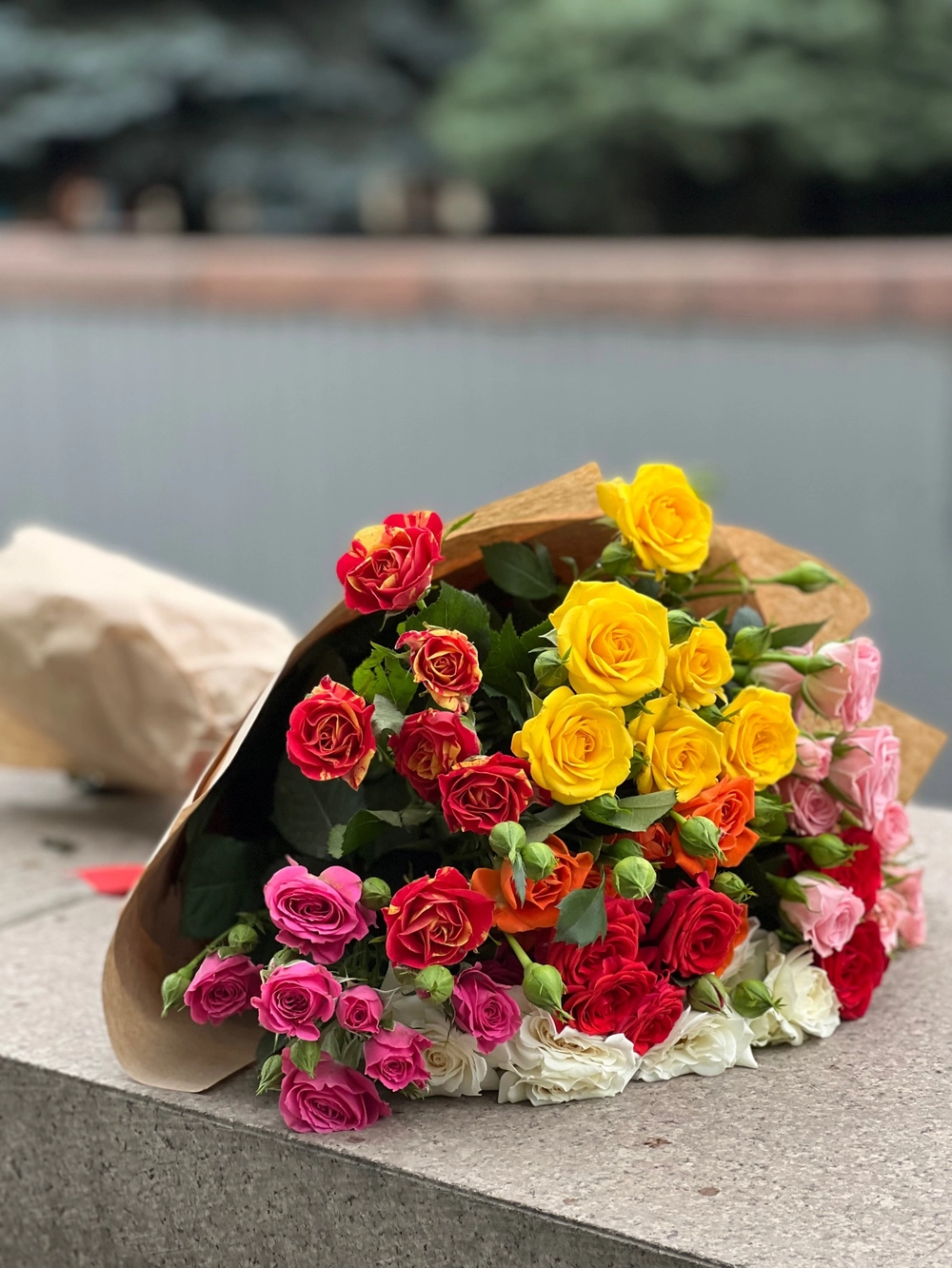 Букет із 9 кущових троянд у червоних, рожевих та кремових відтінках - Зображення 2