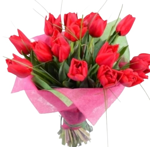 Букет із 15 червоних тюльпанів