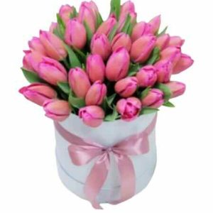 Букет із 29 рожевих тюльпанів у коробці