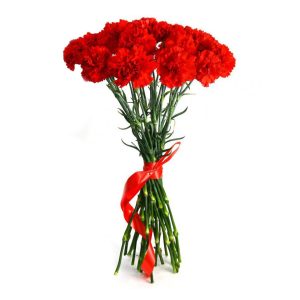 Букет з 15 червоних гвоздик