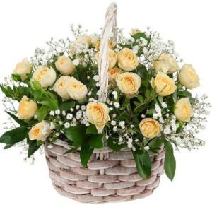Кошик із кремових кущових троянд із гіпсофілою