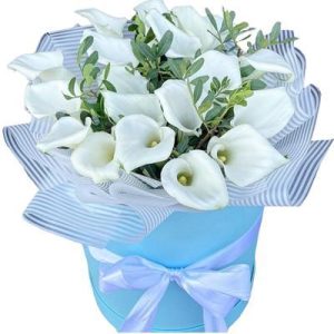 Коробка із 19 калами