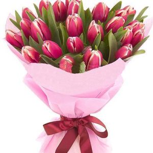 Букет із 23 бордових тюльпанів