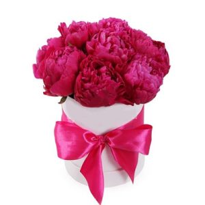 Коробка з 9 бордових півоній