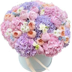 Ніжна композиція із гортензією в коробці