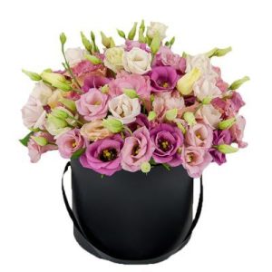 Коробка із 21 гілкою еустоми