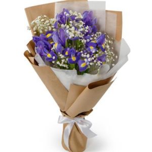 Букет із ірисів та гіпсофіли