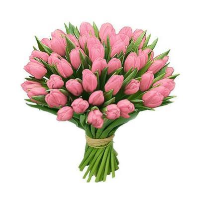 Букет із 49 рожевих тюльпанів