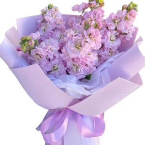 Букет із 5 гілок матіоли