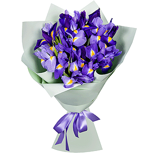 Яскравий букет з 15 синіх ірисів
