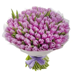 Розкішний букет із 101 фіолетового тюльпана