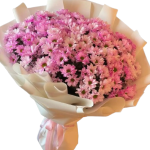 Букет із 17 рожевих хризантем