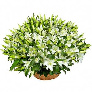 Кошик із 51 білої лілії