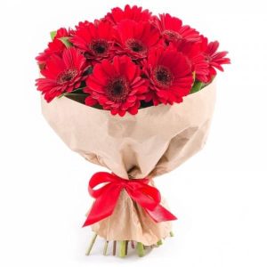 Букет із 13 червоних гербер