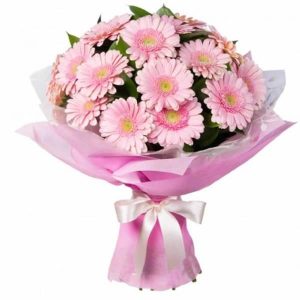 Букет із 21 рожевої гербери