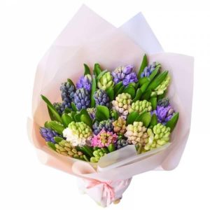 Букет із 25 гіацинтів