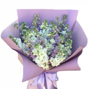 Букет із 21 матіоли