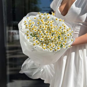 Букет із 9 ромашок(танацетум)