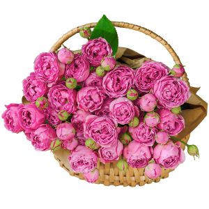 Кошик із 9 рожевих кущових півонієподібних троянд