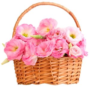 Ніжний кошик з 9 еустоми