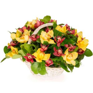 Кошик із 21 орхідеї