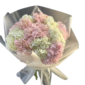 Букет із 11 білих та рожевих гортензій