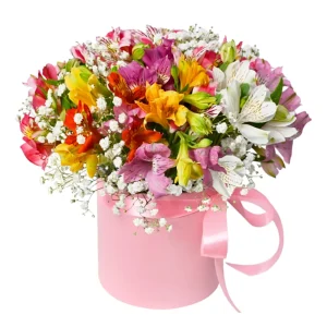 Композиція в коробці з 15 різнокольорової альстромерії