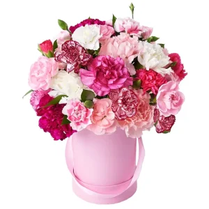 Композиція в коробці з 19 гвоздик міксом