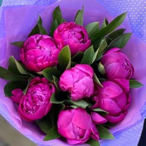 Букет із 7 рожевих півоній