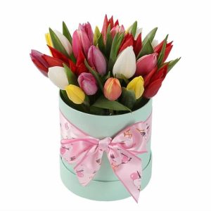25 різнокольорових тюльпанів в коробці