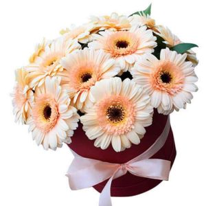 Композиція із 15 гербер в коробці