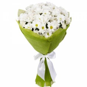 Букет із 5 білих хризантем «Дотик тепла»