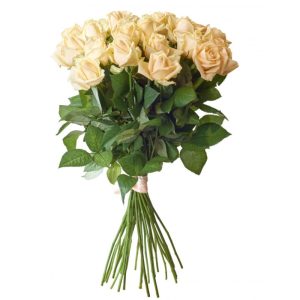 Букет із 19 кремових троянд