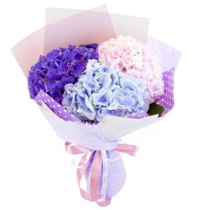 Ніжний букет із 3 гортензій