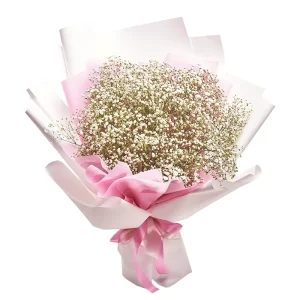 Букет із 11 гілок білої гіпсофіли