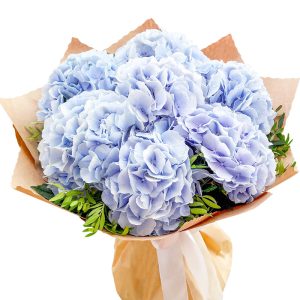 Букет із 7 синіх гортензій