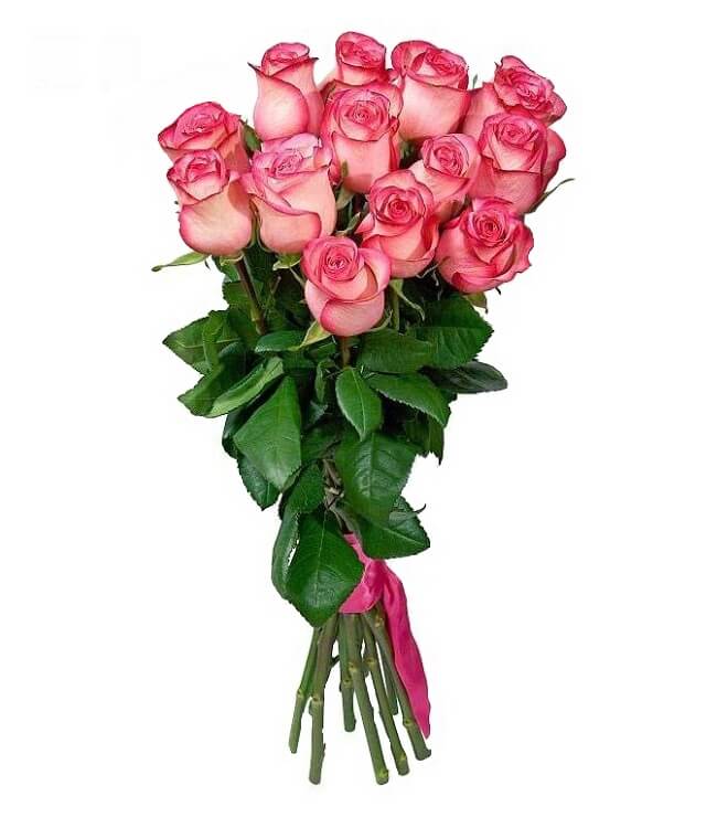 Букет із 15 імпортних рожевих троянд