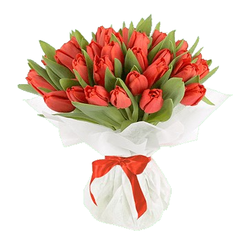 Букет із 49 червоних тюльпанів