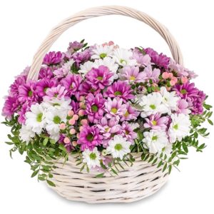 Кошик із 11 кольорових хризантем